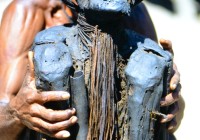 9142610108819-0227 copy