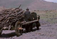 Untitled (23) copy 2