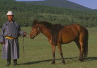 Untitled (24) copy 2