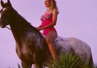 Untitled (354) Untitled (354)